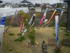 こいのぼり