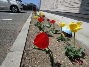 IMG_3803