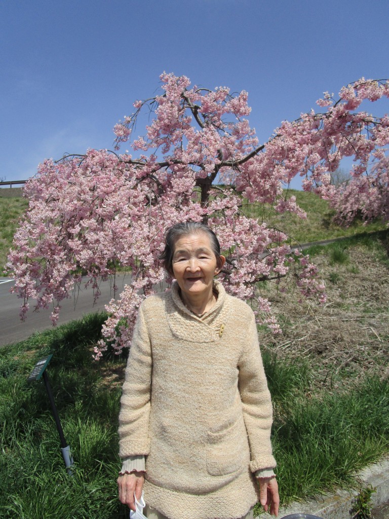 ２０２３年の桜