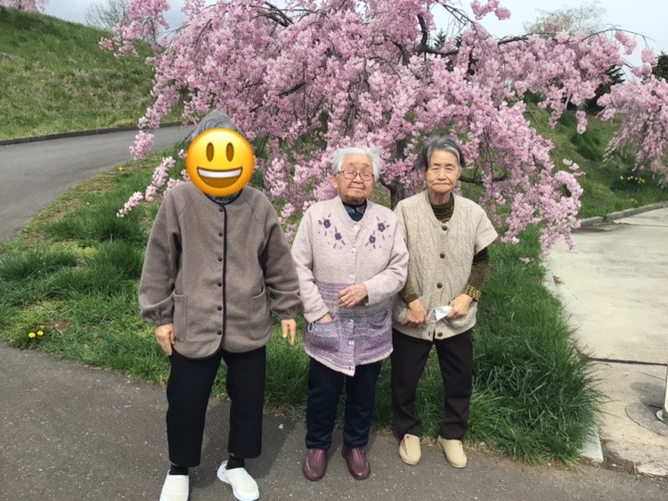 お花見ツアー