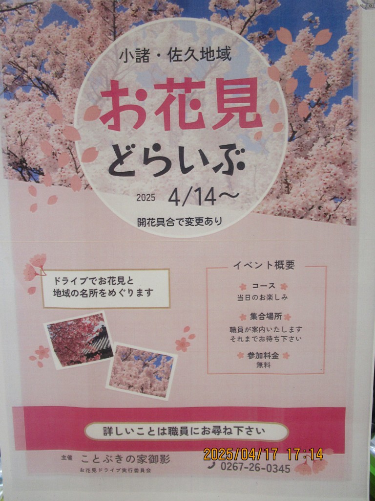 2025　お花見ドライブツアー　御影