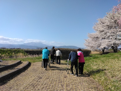 お花見の様子