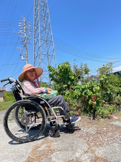 収穫できました！！
