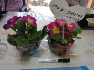 IMG_20260218_120430