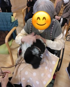 動物とのふれあい