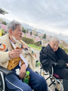 お花見ツアー