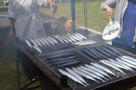 大好評・秋の味覚！「焼き秋刀魚」　②