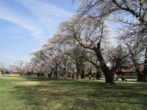 IMG_0464