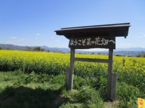 IMG_0522