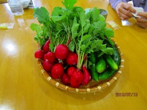 IMG_0114