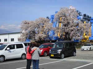 IMG_0015