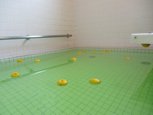 冬至、ゆず湯