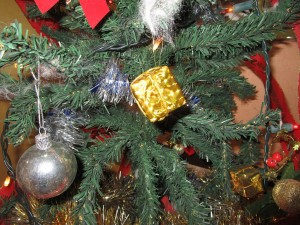 IMG_4922