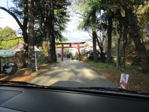 IMG_6614