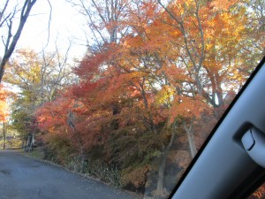 IMG_6687