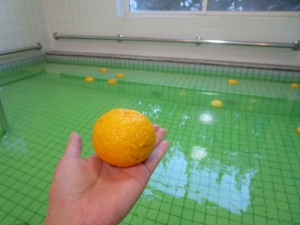 IMG_6870