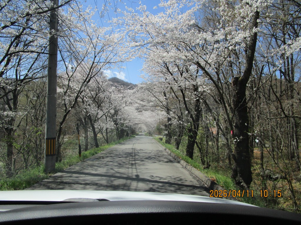 IMG_9110
